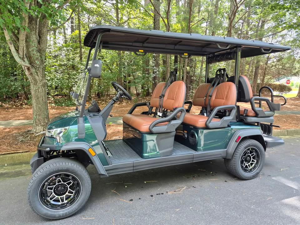 Meet the new lineup of Premium Electric Golf Carts from ICON EV. gallery image 4
