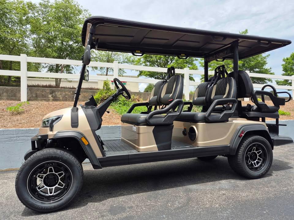 Meet the new lineup of Premium Electric Golf Carts from ICON EV. gallery image 5